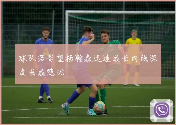 球队若寄望杨瀚森迅速成长内线深度或成隐忧