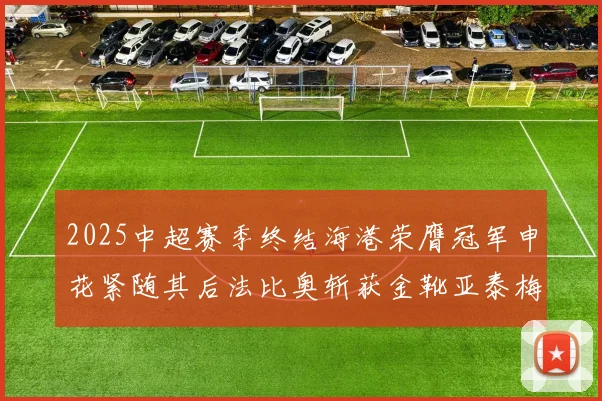 2025中超赛季终结海港荣膺冠军申花紧随其后法比奥斩获金靴亚泰梅州遗憾降级