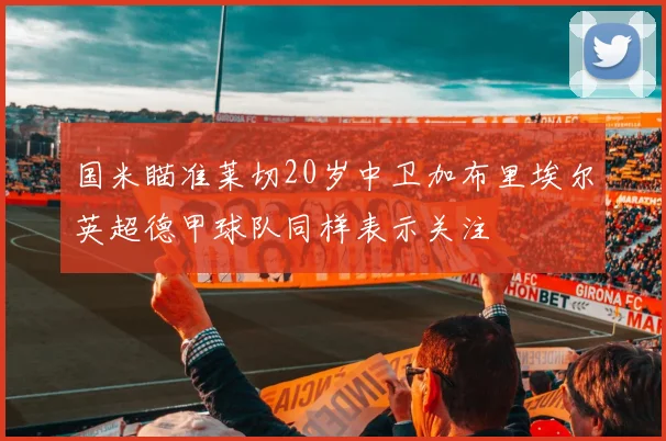 国米瞄准莱切20岁中卫加布里埃尔英超德甲球队同样表示关注