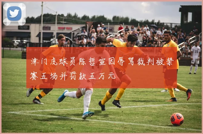 津门虎球员陈哲宣因辱骂裁判被禁赛五场并罚款五万元