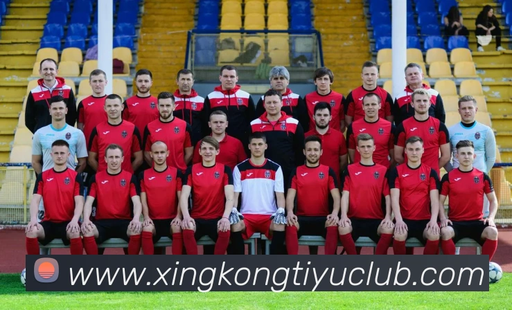 星空体育平台生态图